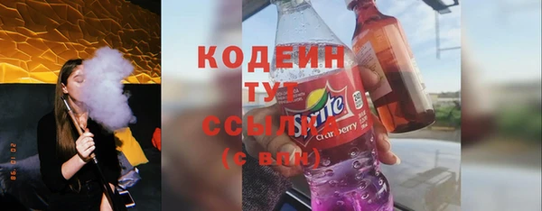 шишки Верхний Тагил