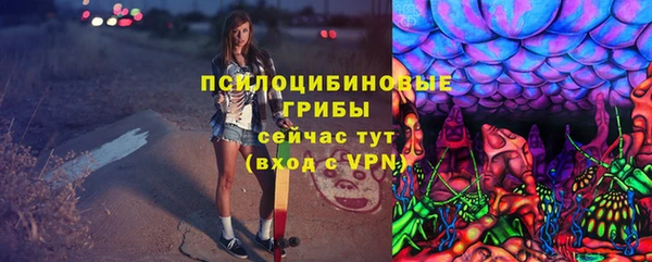 соль ск Вязьма